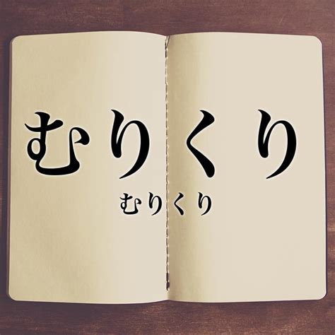 無理くり|Meaning of 無理くり, むりくり, murikuri 